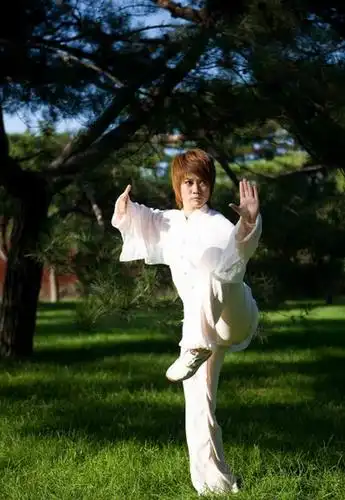 我也是太极爱好者,习练杨氏太极拳剑已有四年,自然对马畅的离去感叹