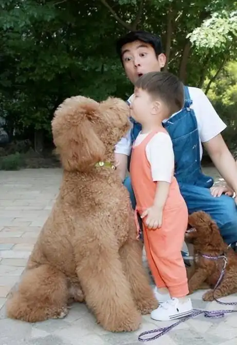 京圈富婆霍思燕手撕黄奕献媚王中磊私人飞机出行获杜江接盘