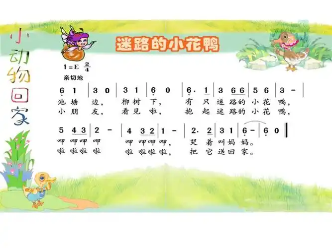 迷路的小花鸭ppt