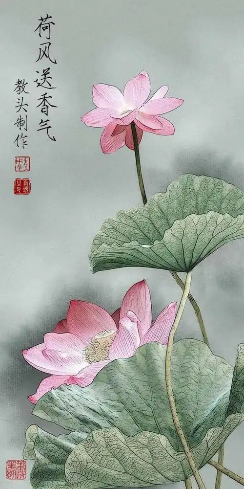 18度影像济南站山东惠佳丨直播课堂工笔荷花满屏芳