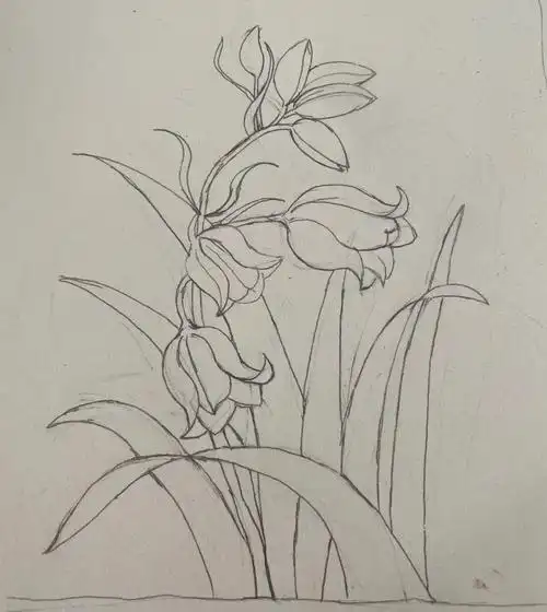 自学画画第三天