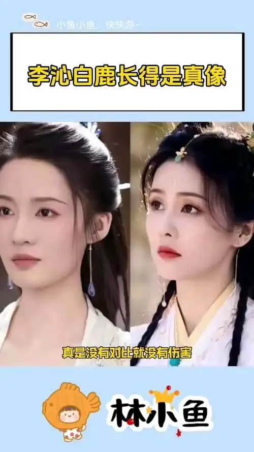 没有对比就没有伤害!白鹿李沁长得那么像,可发展状态却天差地别