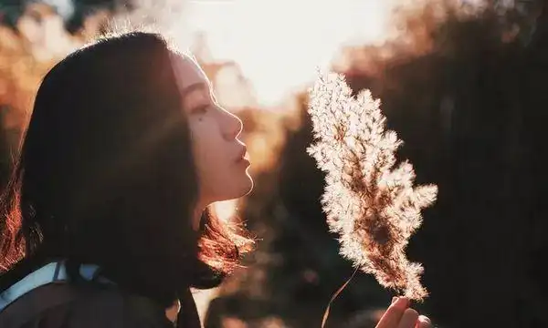 女人不坚强,谁来替你扛?迎合他人,没有骨气,依靠他人,没有底气.