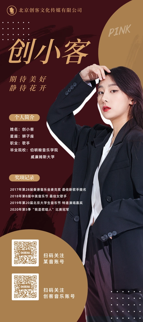 深红简约纹理几何风明星个人简介展架