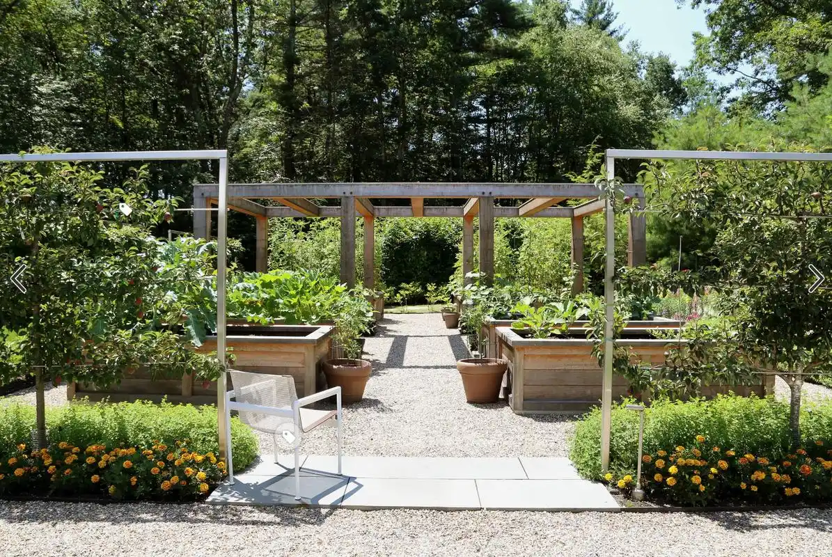 用藤条编制出蔬菜分割区域,种植了多种多样的蔬菜 转