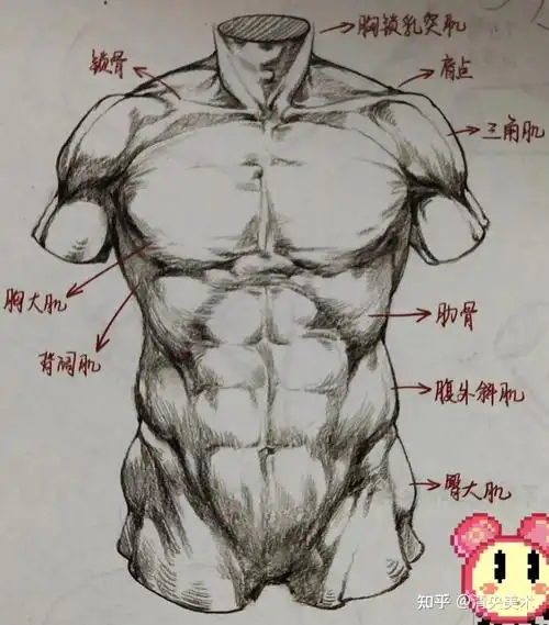 美术集训 | 零基础学速写技法提升(二)观察方法