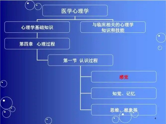 医学心理学感觉课件_第4页