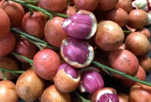 西双版纳这些奇特水果全吃过的才是真正的吃货我只吃过第4种