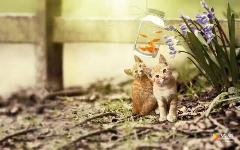 qq风尚壁纸 第六辑