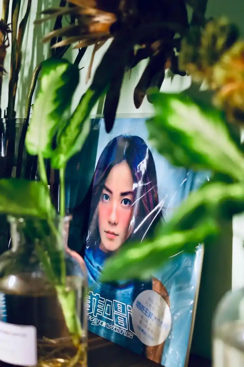 王菲 唱游 黑胶大碟.可以做手机壁纸 #美出高级感 #写真  - 抖音