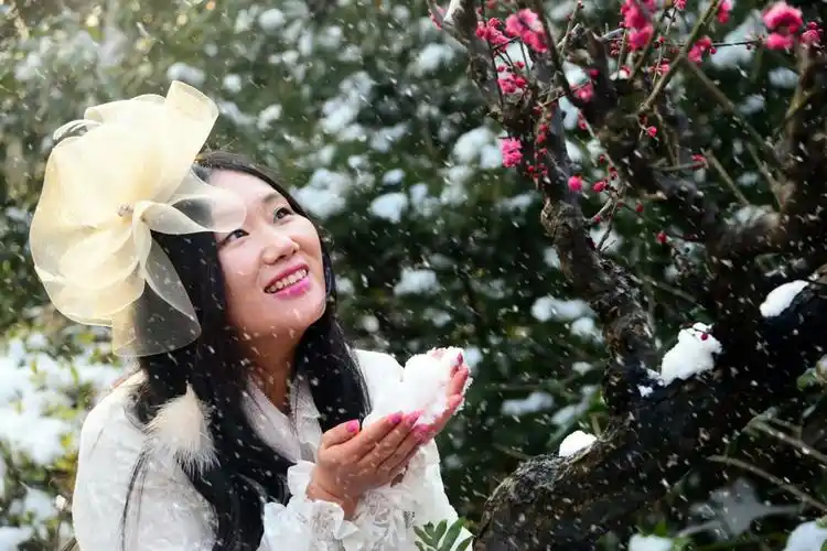 白雪红梅