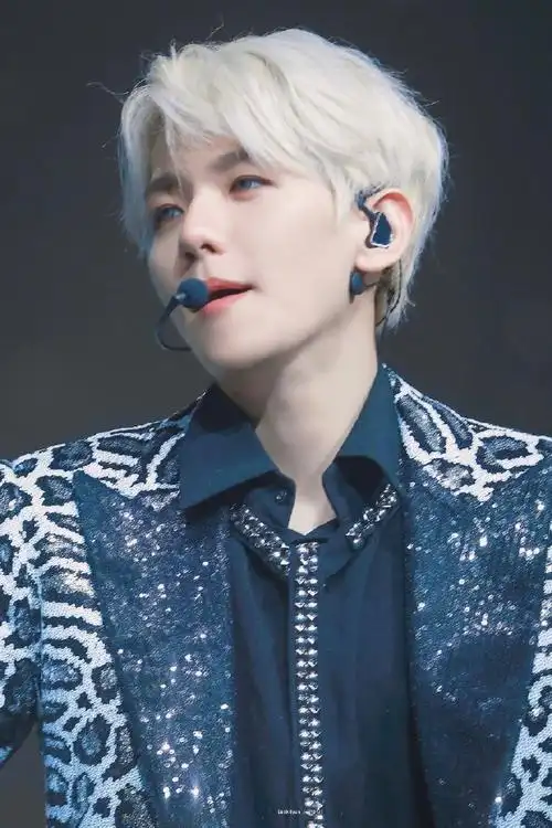 边伯贤#19111294 we are the future tour in 沃斯堡    银色小