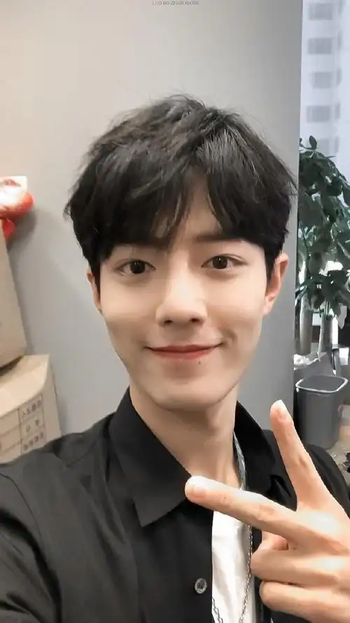 肖战最好的你#肖战剪刀手系列15p,是标准的小树杈没错了～笑起来卵圹