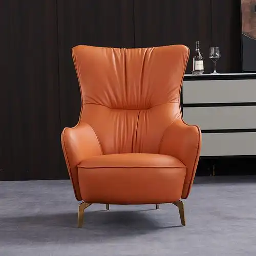 轻奢老虎椅单人真皮沙发客厅休闲椅高背沙发卧室懒人沙发简约皮椅