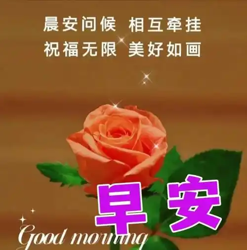 9张最新创意好看的早上好祝福图片带字温馨 2023唯美夏天早安问候祝福