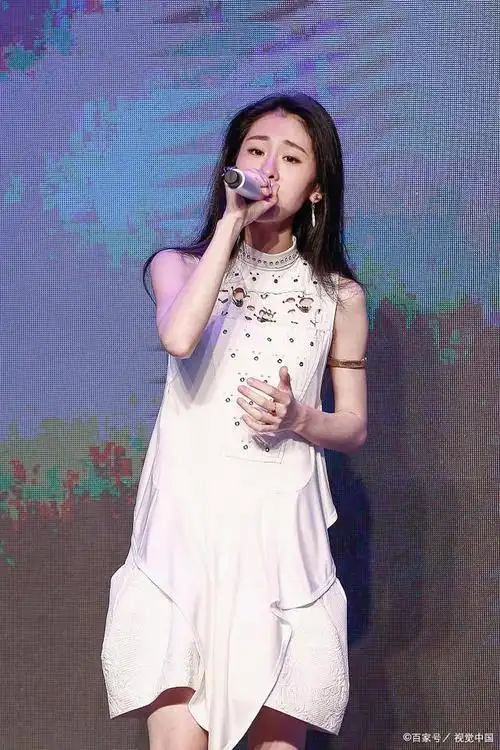 她曾经是《中国好声音》的第三季冠军,也是《歌手》的第六季亚军.