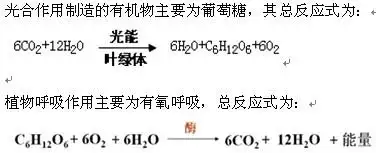 求提供植物进行光合作用和呼吸作用的总反应式