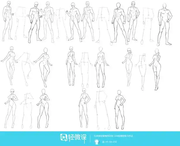 作业:人体速写基础—动漫人体结构画法 - 洛-ht-34-210 - 轻微课