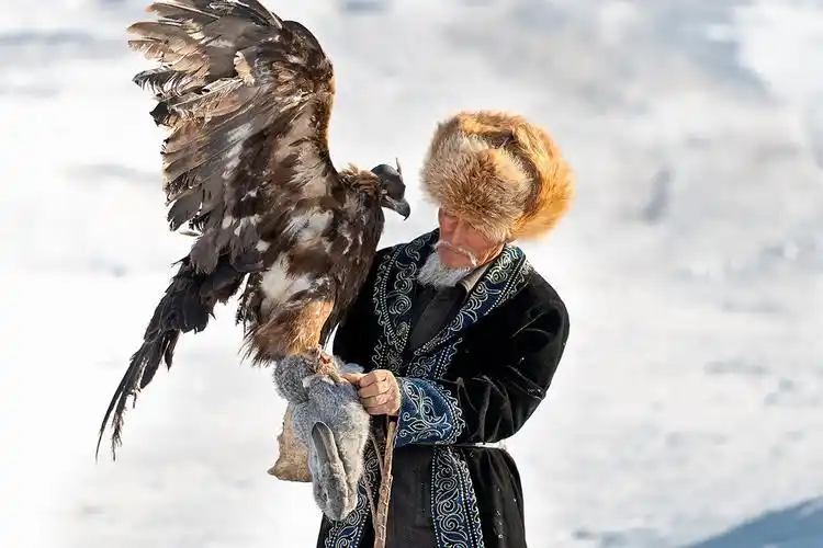 天山下的鹰猎传奇