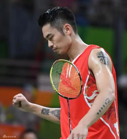 羽毛球男子单打半决赛 林丹1-2不敌李宗伟