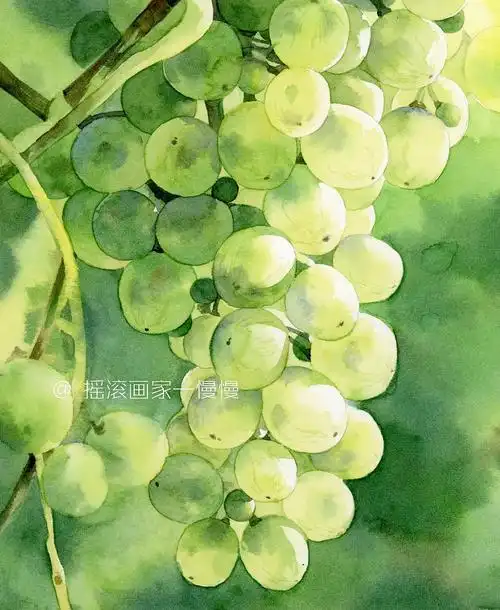 水彩手绘葡萄