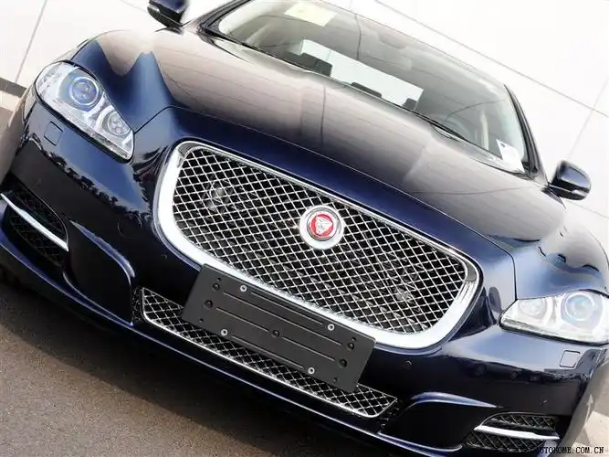 今天看到一辆车的标志是一只老虎头,这是什么车?