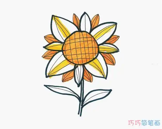 一步一步绘画向日葵简笔画简单又漂亮涂色素描手绘 - 巧巧简笔画
