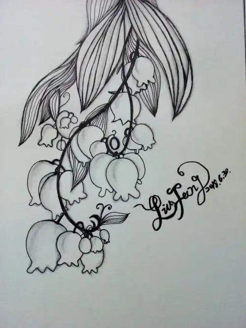 花海2—禅绕魔法村花朵解析系列课程《简笔繁花》作品展示2