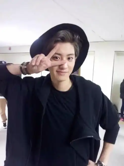 exo 朴灿烈 chanyeol 剪刀手