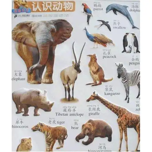 认识动物早教启蒙双语立体挂图