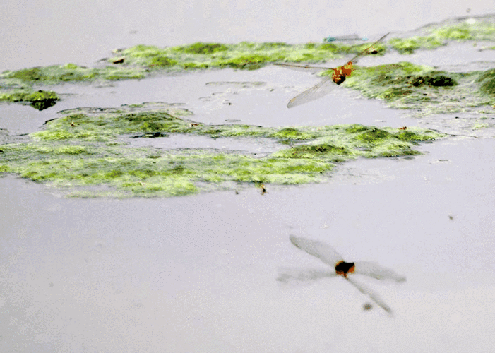 没点过外卖的举个爪?