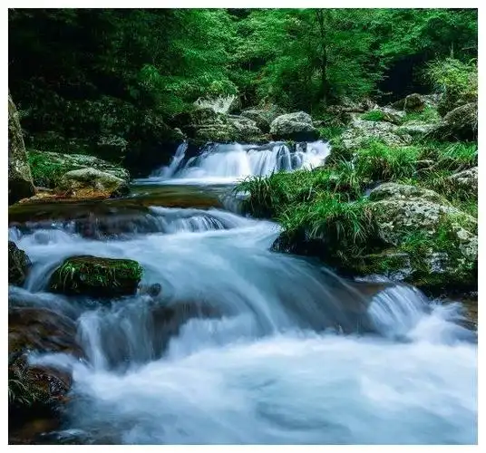 下周开始福星高照财运旺盛生活越来越富足的4大星座