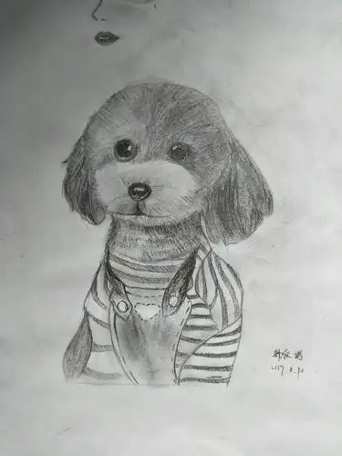 19年名仕素描班29轮作品《狗狗》