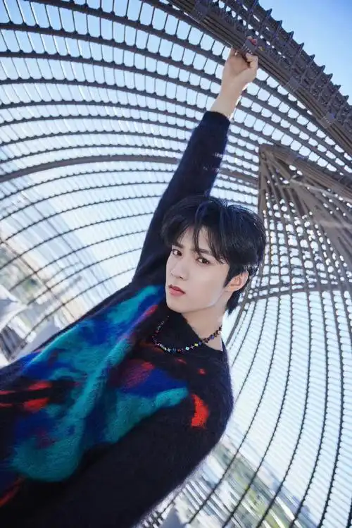 刘耀文lv推广图##刘耀文路易威登品牌大使