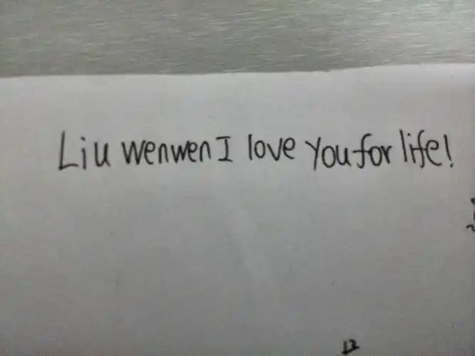 刘雯雯我爱你一生一世!英语怎么写!
