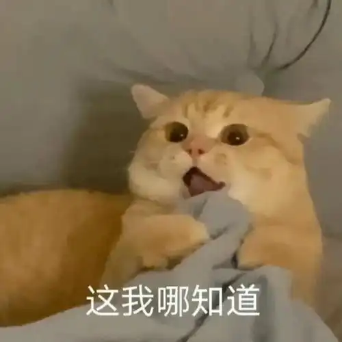这我哪知道猫咪表情包知道猫咪表情