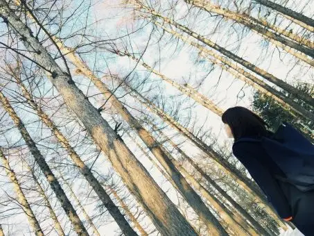 照片素材(图片): 展望 归属感 户外 没有什麼人 减轻