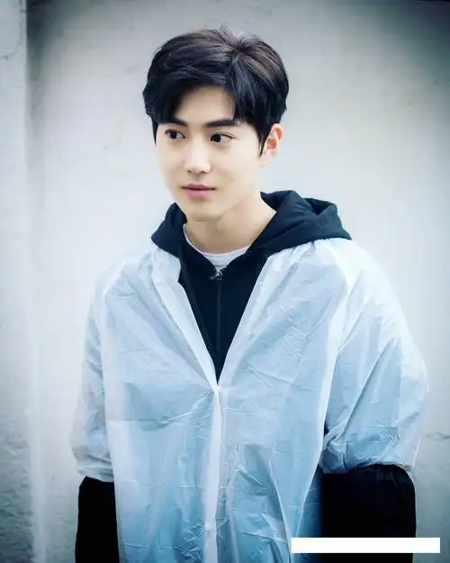 exo: 名副其实的完颜团