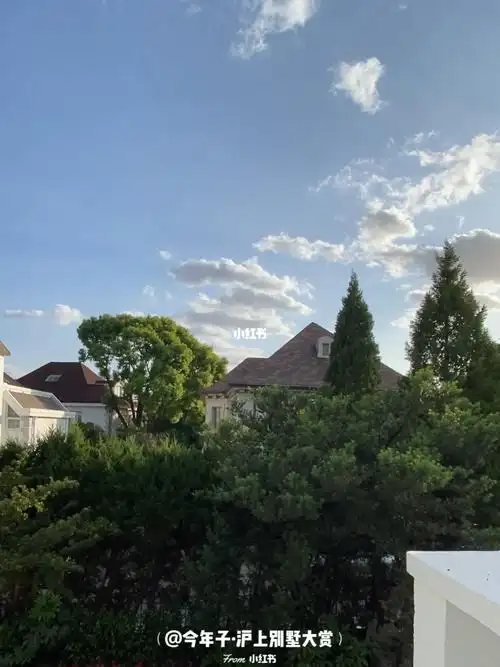 1080_1441竖版 竖屏