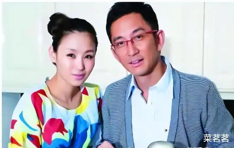 洪欣|港台与内地明星结婚,大都年龄悬殊,且年轻的永远是内地一方