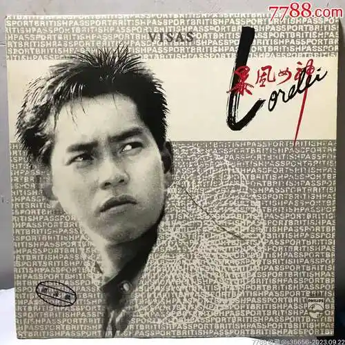 暴风女神-谭咏麟(宝丽金黑胶唱片 海报)-价格:50元-au35391400-老唱片