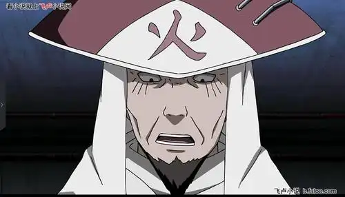 第十三章 猿飞日斩,三代目火影