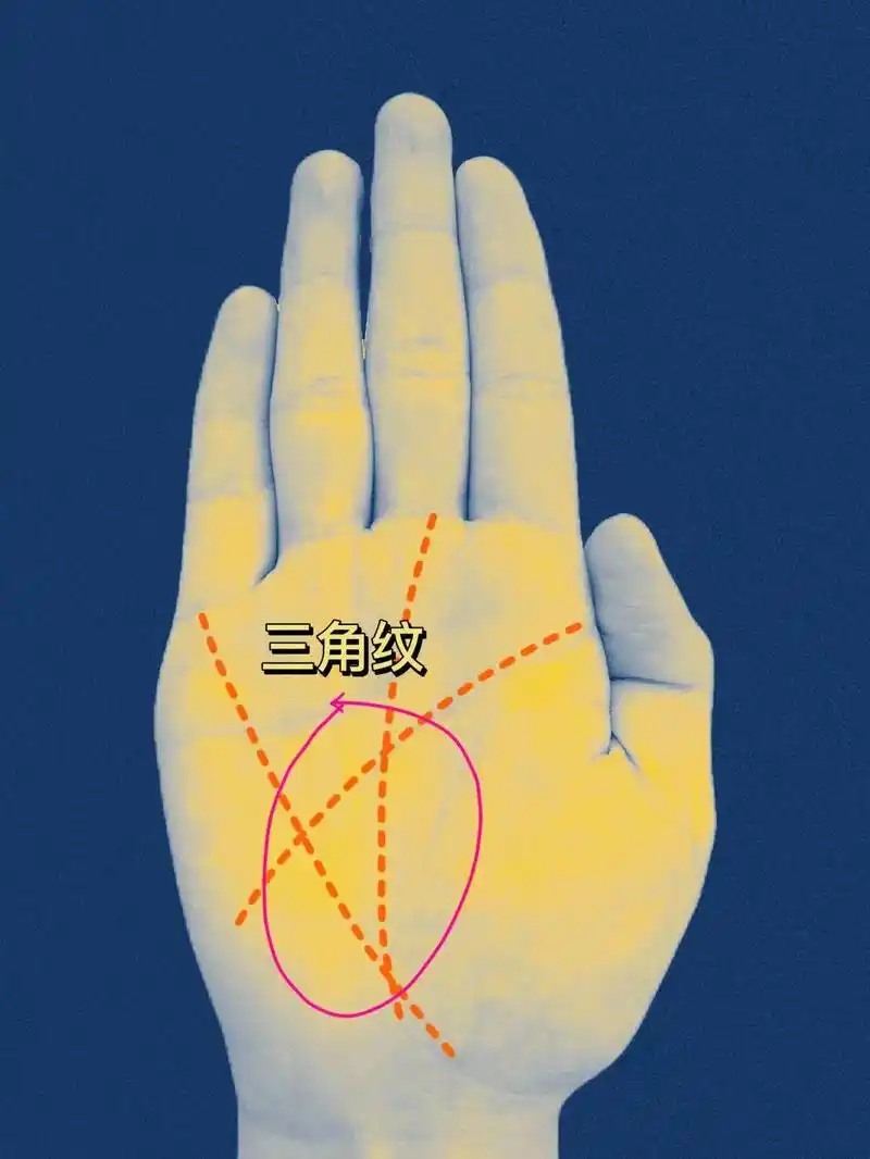 有福气的手纹,快看看你占几个#掌纹的秘密 #国学文化 #热门 - 抖音