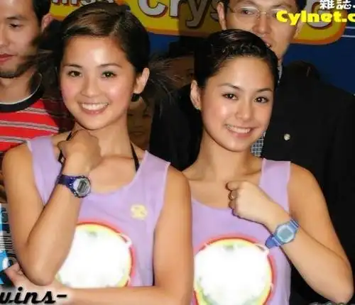 中国十大最有名的女团组合之twins