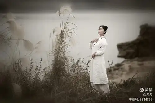 人生就是一场修行:当时只道是寻常