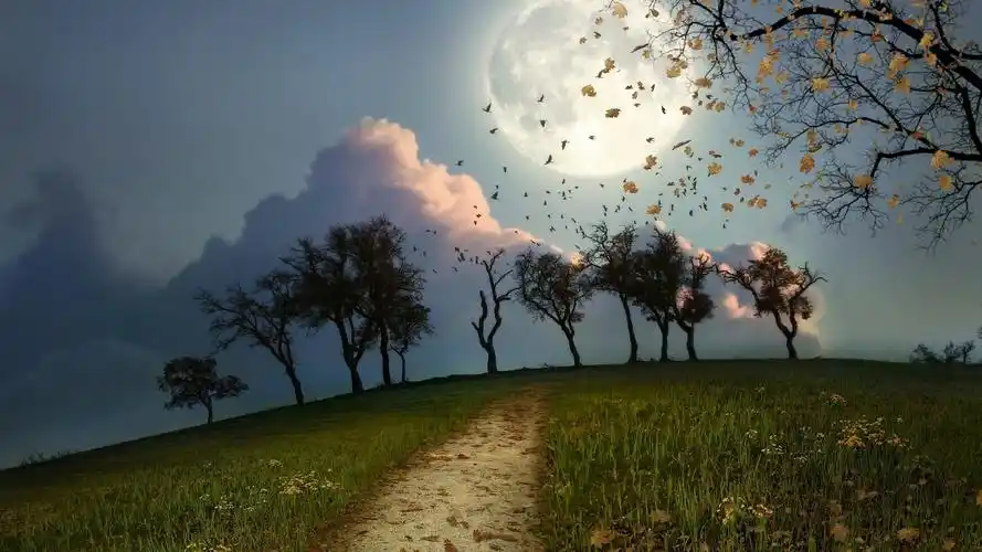 梦幻唯美自然风光桌面壁纸-风景壁纸-手机壁纸下载-美桌网