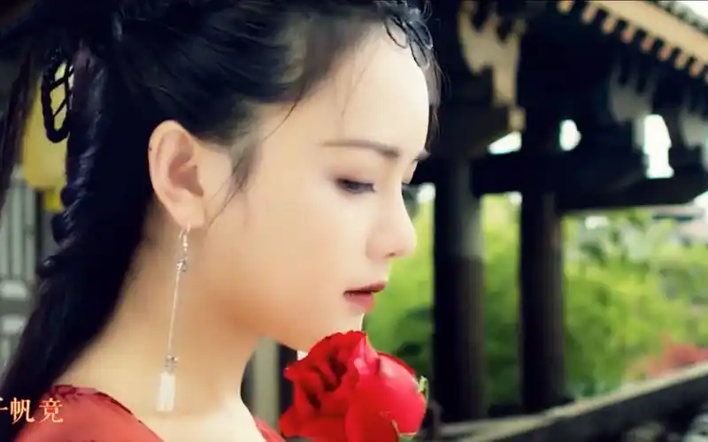 活动作品踏雪南笙