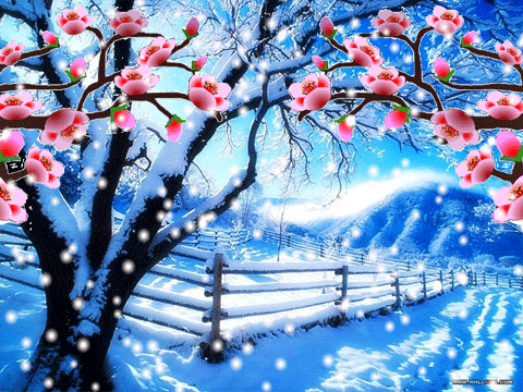 浓 诗/雨馨   平水韵 淡墨描摹冬日景 鹅毛大雪乱飞扬 浓香入梦梅花艳