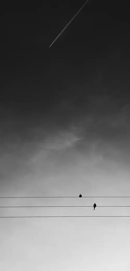 你问我什么是孤独 这就是孤独打开手机屏幕亮起 一条消息都没有四处摸