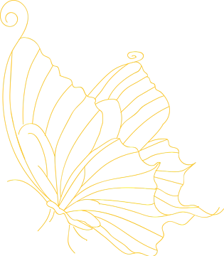 手绘卡通蝴蝶图片大全